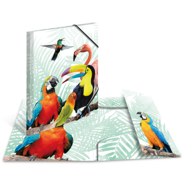 HERMA Eckspannermappe Exotische Tiere, A3, Koalafamilie