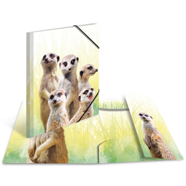 HERMA Eckspannermappe Exotische Tiere, A3, Koalafamilie