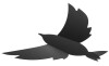 Securit 3D-Wand-Kreidetafel "BIRD", schwarz