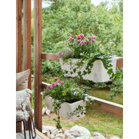 orthex Blumenkasten BALCONY, Breite: 550 mm, weiß