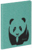 PAGNA Notizbuch "Panda", DIN A5, 64 Blatt, dotted, mint