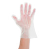 NATURE Star Bio-Handschuh "GREEN", aus PLA, L, transparent