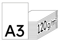 Color Copy hochweiß Kopierpapier A3 120g/m2 - 1 Karton (1.750 Blatt)