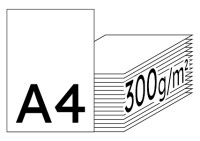 Color Copy hochweiß Kopierpapier A4 300g/m2 - 1 Karton (625 Blatt)