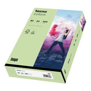 tecno colors mittelgrün Kopierpapier A4 80g/m2 - 1 Karton (2.500 Blatt)