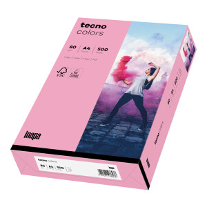 tecno colors rosa Kopierpapier A4 80g/m2 - 1 Karton (2.500 Blatt)