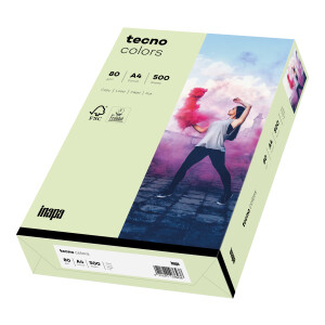 tecno colors hellgrün Kopierpapier A4 80g/m2 - 1 Karton (2.500 Blatt)