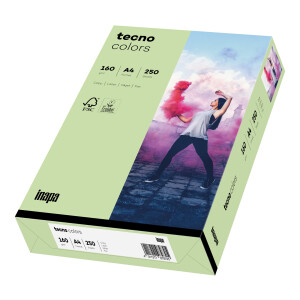 tecno colors mittelgrün Kopierpapier A4 160g/m2 - 1 Karton (1.250 Blatt)