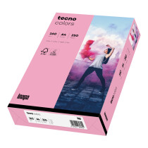 tecno colors rosa Kopierpapier A4 160g/m2 - 1 Karton...