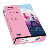 tecno colors rosa Kopierpapier A4 160g/m2 - 1 Karton...
