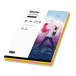 tecno colors Pastellfarben-Mix Kopierpapier A4 80g/m2 - 1 Karton (2.200 Blatt)