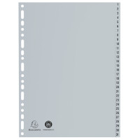 EXACOMPTA Kunststoff-Register, Zahlen, DIN A4, 10-teilig