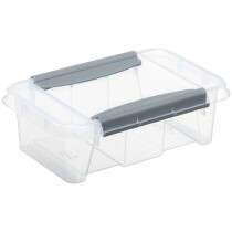 plast team Aufbewahrungsbox PROBOX, 3,0 Liter