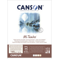 CANSON Zeichenpapier Mi-Teintes, im Block, 240 x 320 mm
