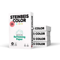 Steinbeis Magic Color rosa Kopierpapier A4 80g/m2 - 1 Palette (100.000 Blatt)
