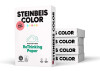Steinbeis Magic Color grün Kopierpapier A4 80g/m2 - 1 Karton (2.500 Blatt)