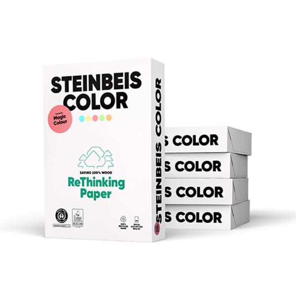 Steinbeis Magic Color lachs Kopierpapier A4 80g/m2 - 1 Karton (2.500 Blatt)