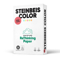 Steinbeis Magic Color lachs Kopierpapier A4 80g/m2 - 1 Karton (2.500 Blatt)