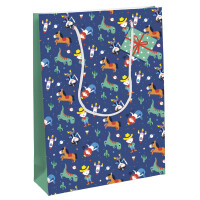 Clairefontaine Geschenktüte "Heros...