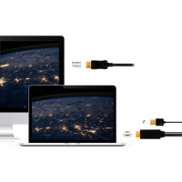 LogiLink HDMI Kabel, HDMI-A + USB-A - DisplayPort-Stecker