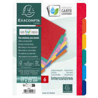 EXACOMPTA Karton-Register, DIN A4+, 6-teilig