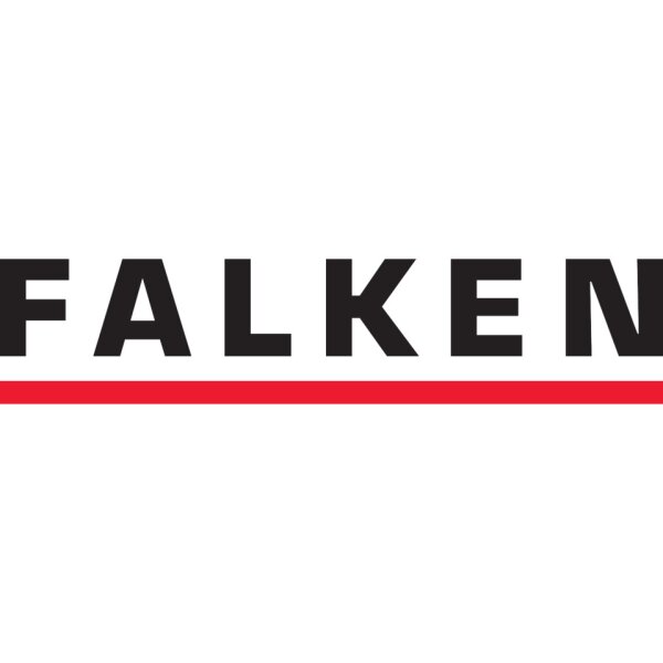 FALKEN Aktendeckel A4, 250g m&sup2;, Manila-RC-Karton, grau 80004153