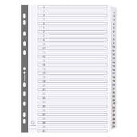 EXACOMPTA Karton-Register 1-20, DIN A4, weiß,...