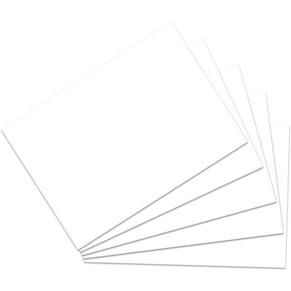 RNK Karteikarte, A4, 170g m², blanko, 100 Stück, weiß 114740