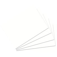 RNK Karteikarte, A4, 170g m², blanko, 100 Stück, weiß 114740