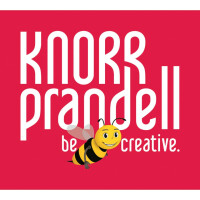KNORR PRANDELL Wattekugel, Ø35mm, 10 Stück,...