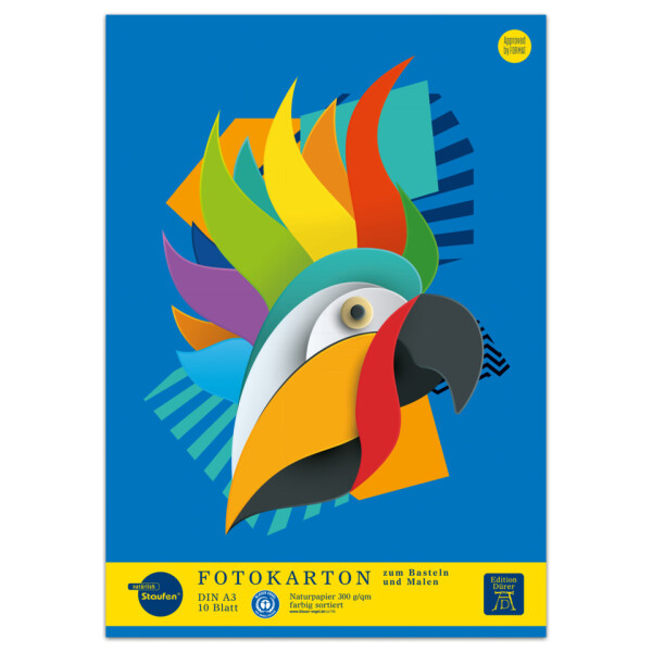 EDITION D&Uuml;RER Fotokartonblock A3 10 Blatt 300g geleimt 053635000