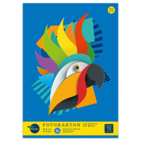 EDITION DÜRER Fotokarton geleimt, A3, 10 Blatt, 300g qm
