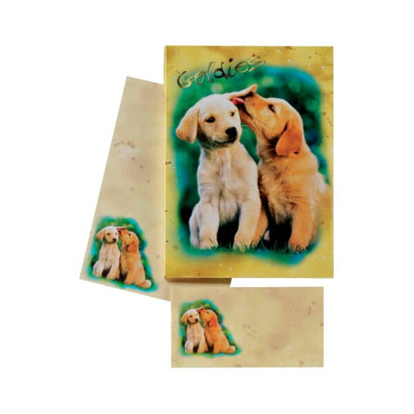 DFW Briefpapier Kinder 10 10 Farben Hundewelpen