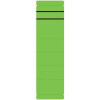 Rückenschild kurz breit grün NEUTRAL selbstklebend Packung 10 Stück