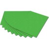 folia Tonpapier 130g m² 10 Stück. grasgrün 70cm 50cm 6755E