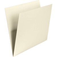 FALKEN Einstellmappe, A4, 180g m², chamois 80004369