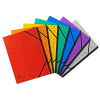 EXACOMPTA Ordnungsmappe mit Gummizug, innen schwarz, 12 Fächer, A4 grau 541211E