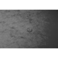 EXACOMPTA Ordnungsmappe mit Gummizug, innen schwarz, 12 Fächer, A4 grau 541211E