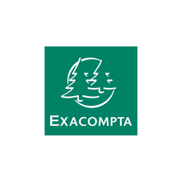 EXACOMPTA Sammelmappe, A4, 355g m&sup2;, Colorspan, rosa 555420E