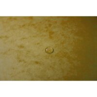 EXACOMPTA Sammelmappe, A4, 355g m², Colorspan, gelb...
