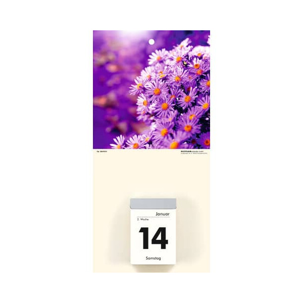 ZETTLER Kalenderrückwand für 301 und 302, Blumen sortiert