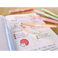 PILOT Textmarker FriXion Light Natural, 3,8mm, 6 Stück, sortiert 4136SG6N