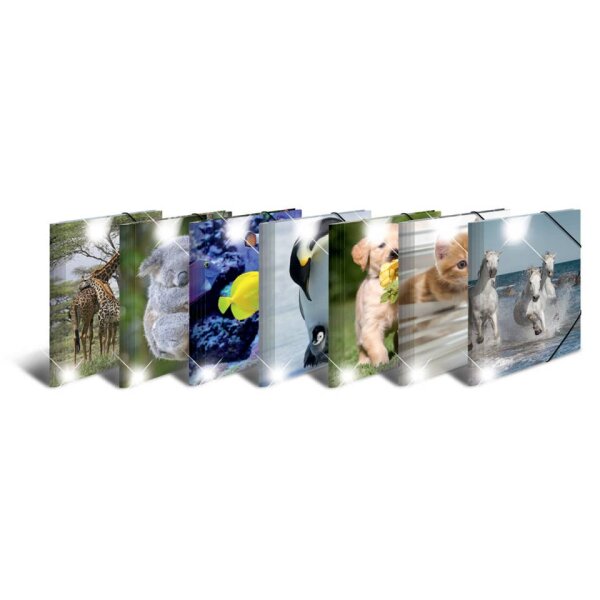 HERMA 19321 Sammelmappe Glossy Tiere, A4, PP, sortiert