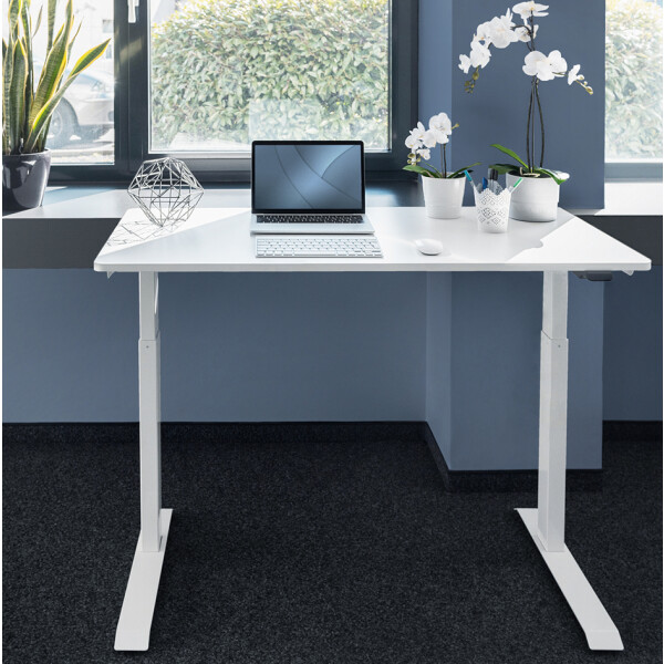 DIGITUS Sitz-Steh-Schreibtisch, (B)1.200 mm, weiß