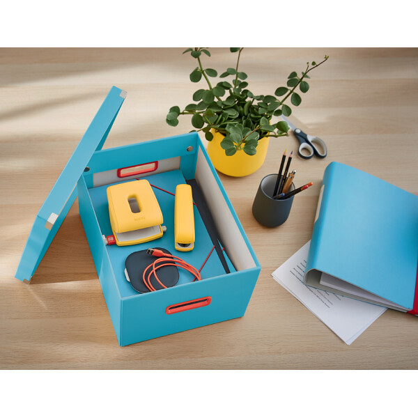 LEITZ Ablagebox Click & Store Cosy L, grau