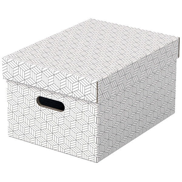 Esselte Aufbewahrungsbox Home M, 3er Set, grau