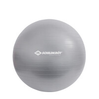 SCHILDKRÖT Gymnastikball, Durchmesser: 650 mm, silber