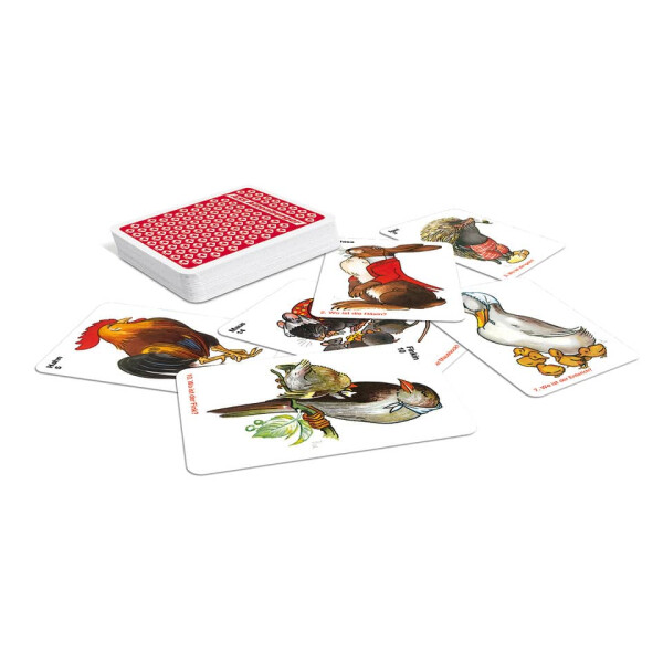 ASS Quartett Tiere, sortiert im Display 10029548-0001