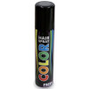FRIES Color-Haarspray 100ml grau 30110