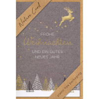 BSB Weihnachtskarte Nature Card 22-6913-2